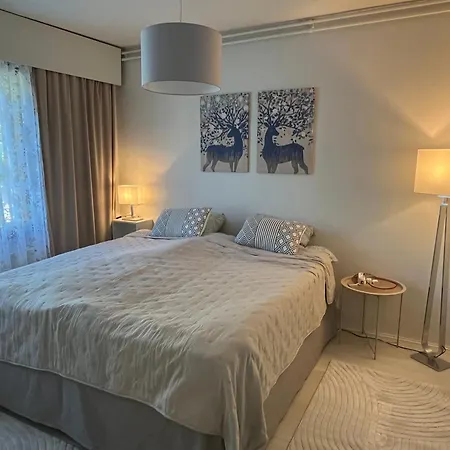 Santa Star * 로바니에미